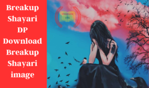 Breakup Shayari Whatsapp Status For GF BF लड़के व लडकियों के लिए रुला देने वाली ब्रेकअप शायरी फोटो स्टेटस